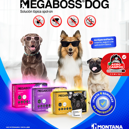 Megaboss Dog