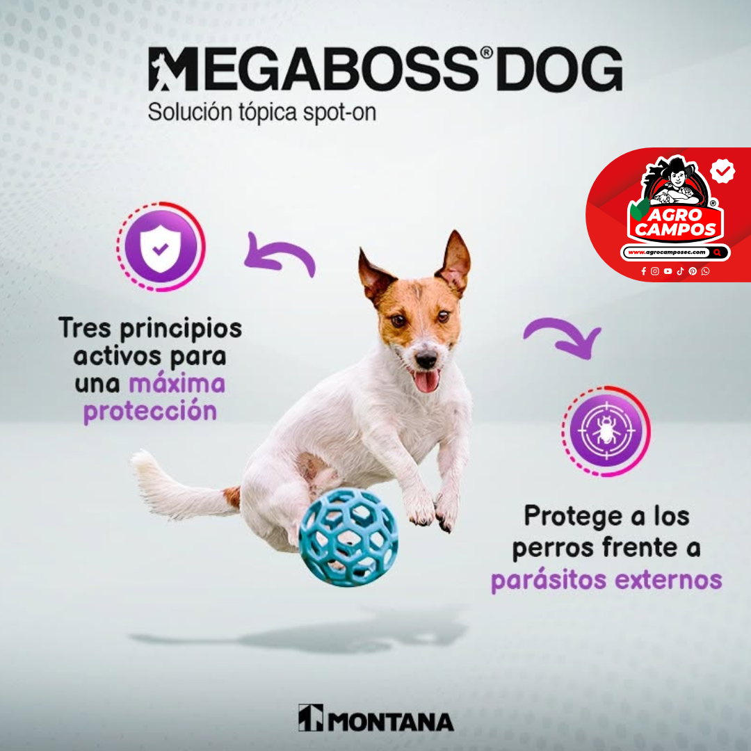 Megaboss Dog