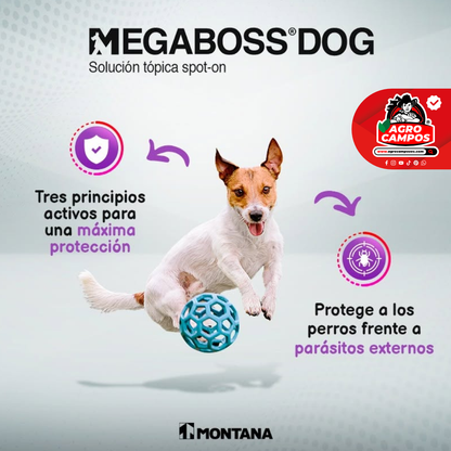 Megaboss Dog