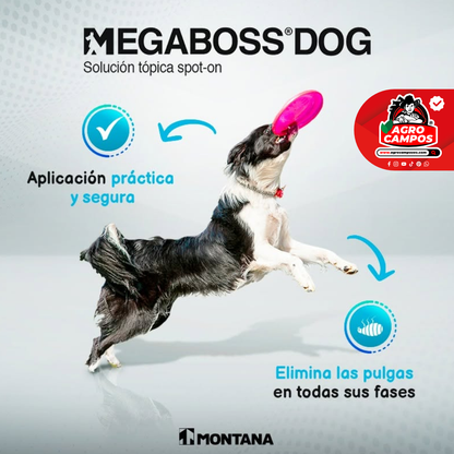 Megaboss Dog