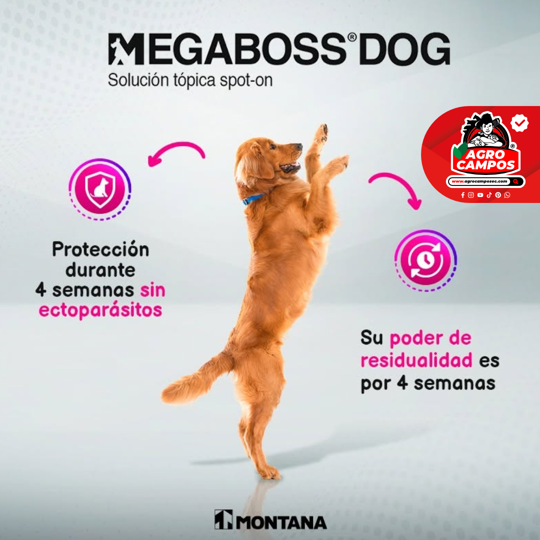 Megaboss Dog