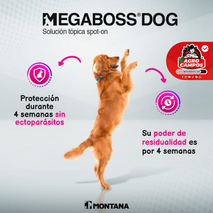 Megaboss Dog