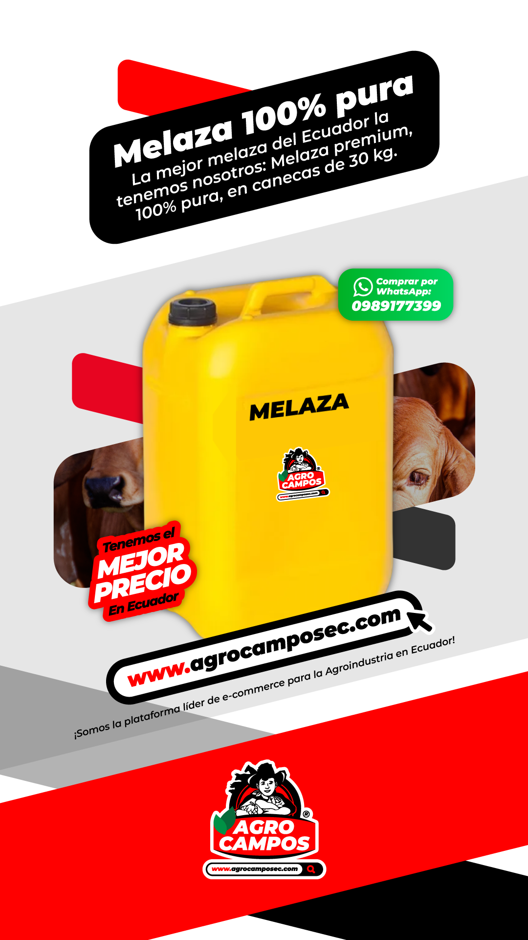 Melaza