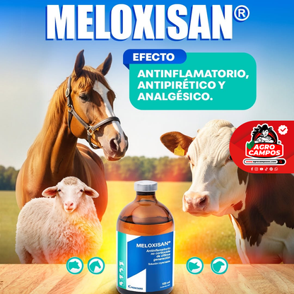 Meloxisan