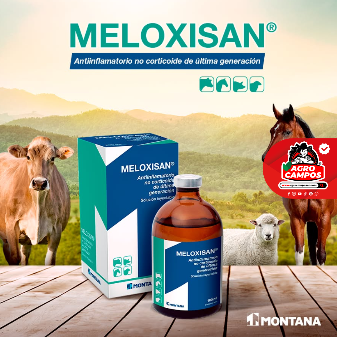 Meloxisan