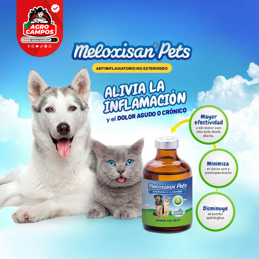 Meloxisan Pets