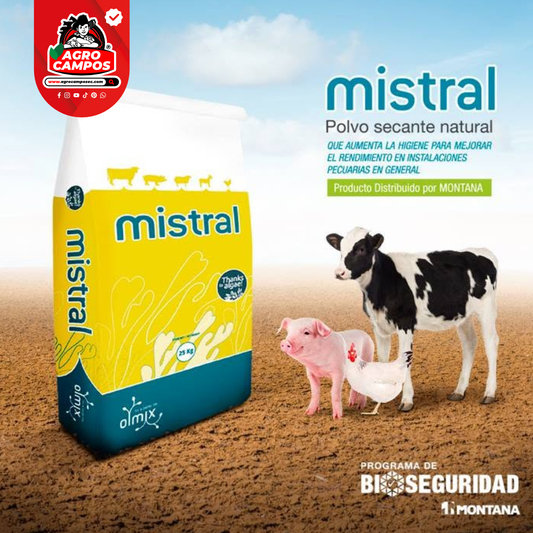 Mistral