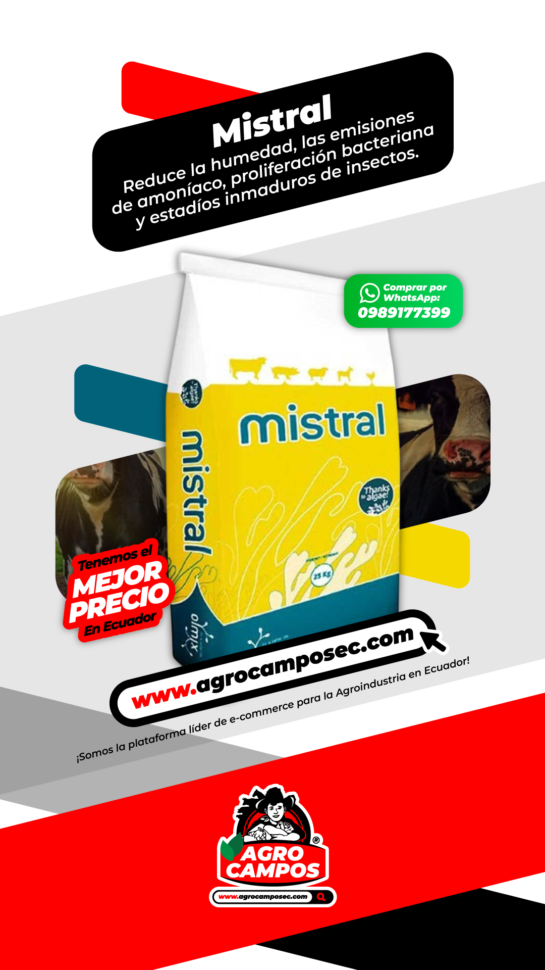 Mistral