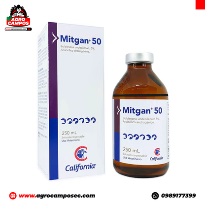 Mitgan 50