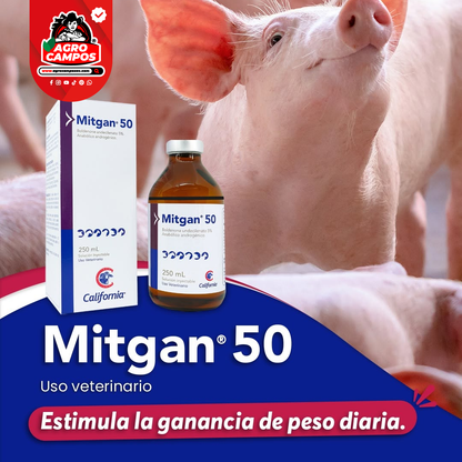 Mitgan 50