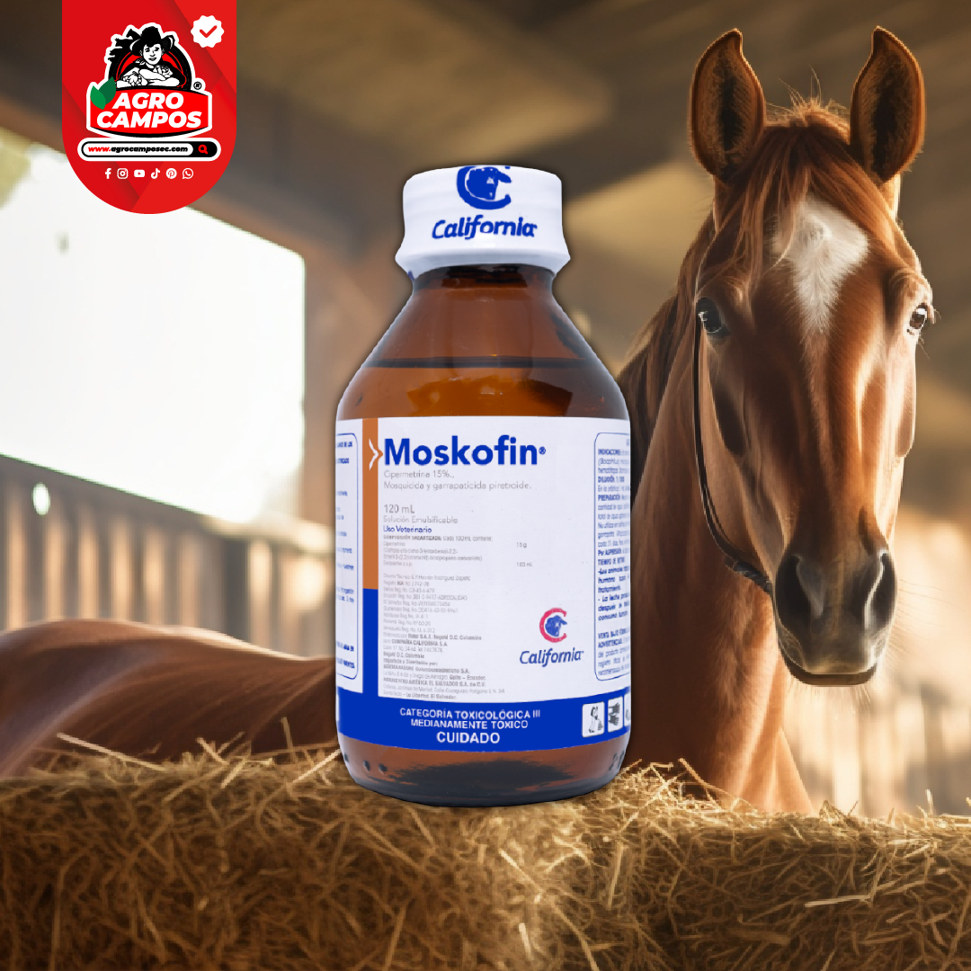Moskofin EC