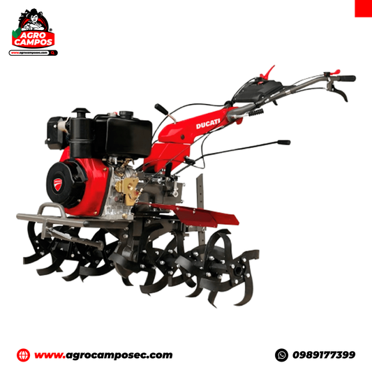 Motoazada Ducati DTL11000