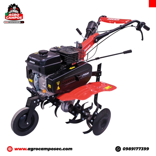 Motoazada Ducati DTL7000