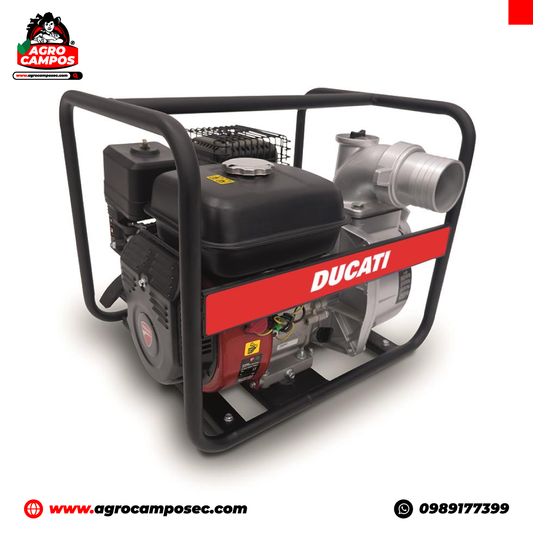 Motobomba de Caudal Ducati DCW 802