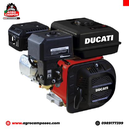 Motor Estacionario Ducati DPE 420 Tipo V