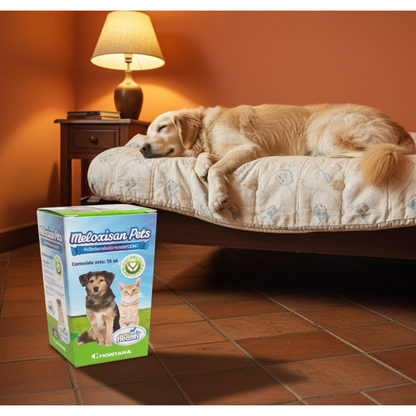 Meloxisan Pets Meloxicam COX-2 Inflamacion Musculoesqueletica Mascotas Ecuador - Agro Campos® Online Store