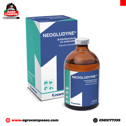 Neogludyne