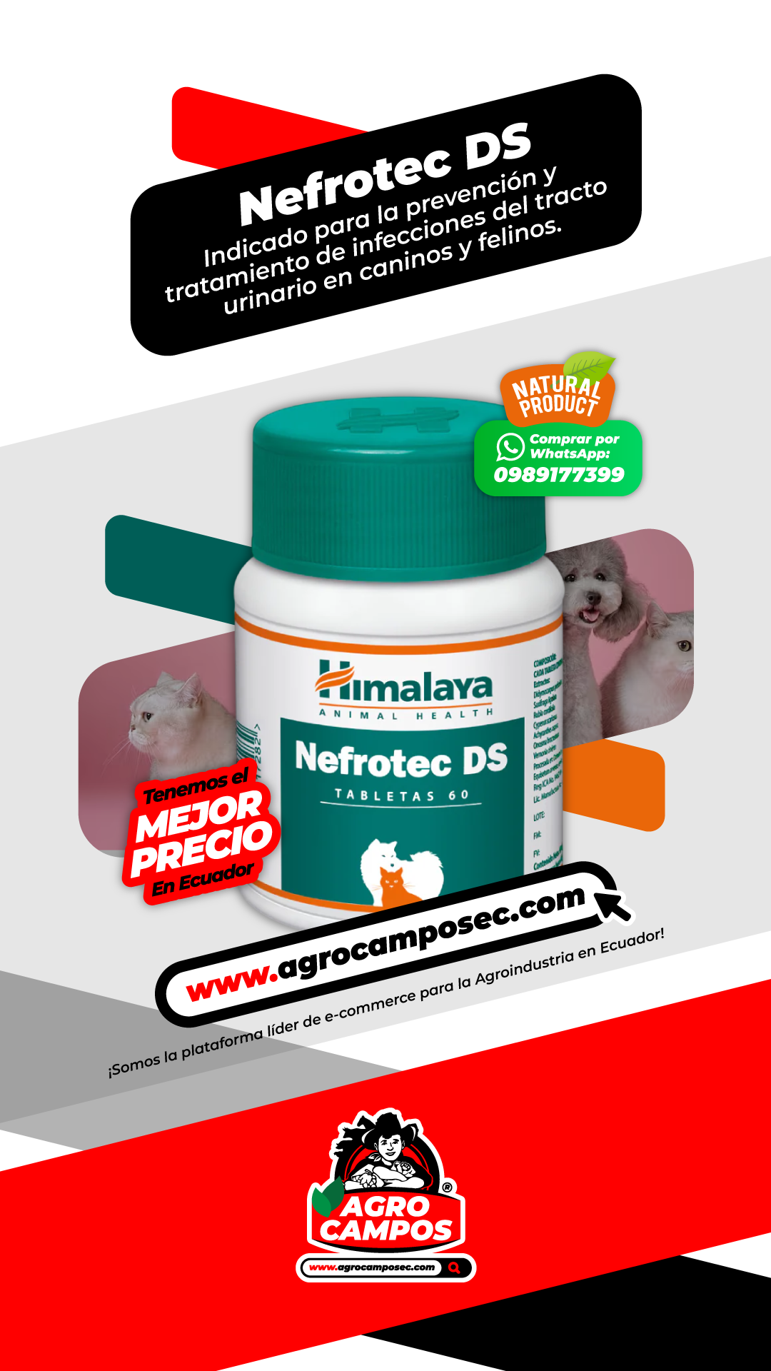 Nefrotec DS Himalaya Frasco Tabletas Uso Veterinario Caninos Felinos Ecuador - Agro Campos® Online Store

