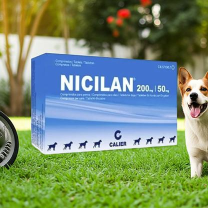 Nicilan 200 50 Calier Amoxicilina Acido Clavulanico Tratamiento Bacteriano Perros Ecuador - Agro Campos® Online Store