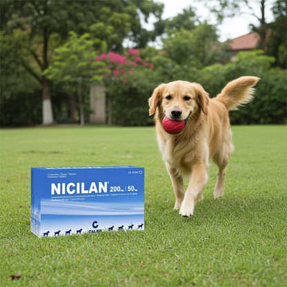 Nicilan 200 50 Calier Comprimido Antibiotico Uso Veterinario Mascotas Ecuador - Agro Campos® Online Store