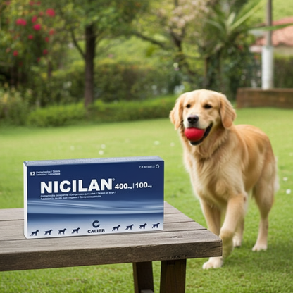 Nicilan 400 100 Amoxicilina Clavulanato Amplio Espectro Perros Ecuador - Agro Campos® Online Store