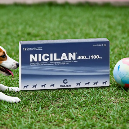 Nicilan 400 100 Antibiotico Oral Uso Veterinario Mascotas Ecuador - Agro Campos® Online Store