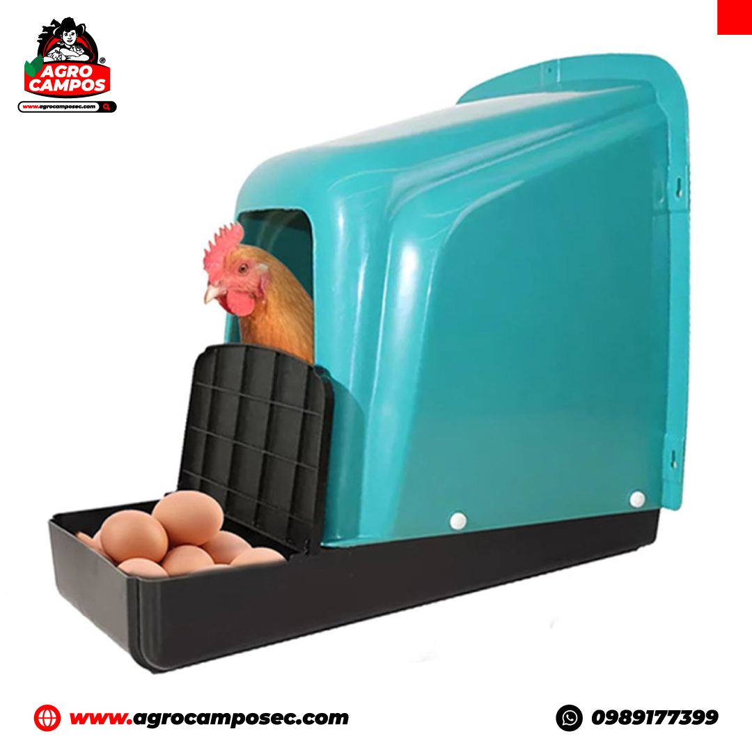 Nidal Individual de Plástico para Gallinas
