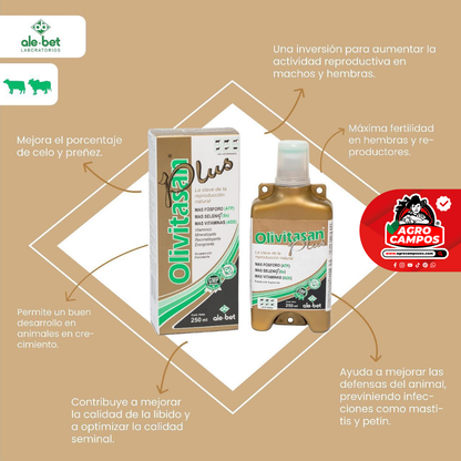 Olivitasan Premium