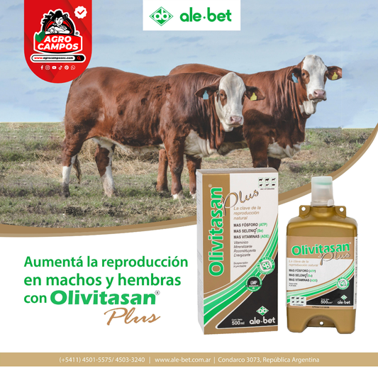 Olivitasan Premium