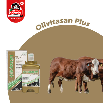 Olivitasan Premium