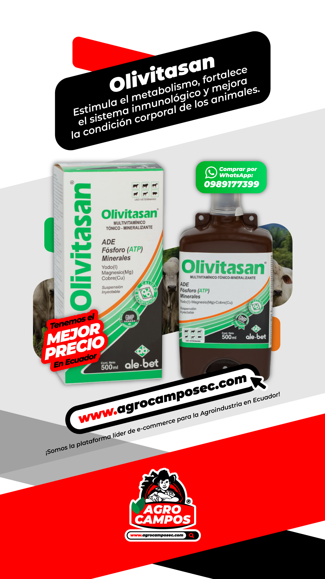 Olivitasan