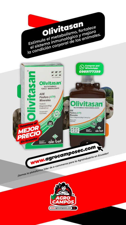 Olivitasan