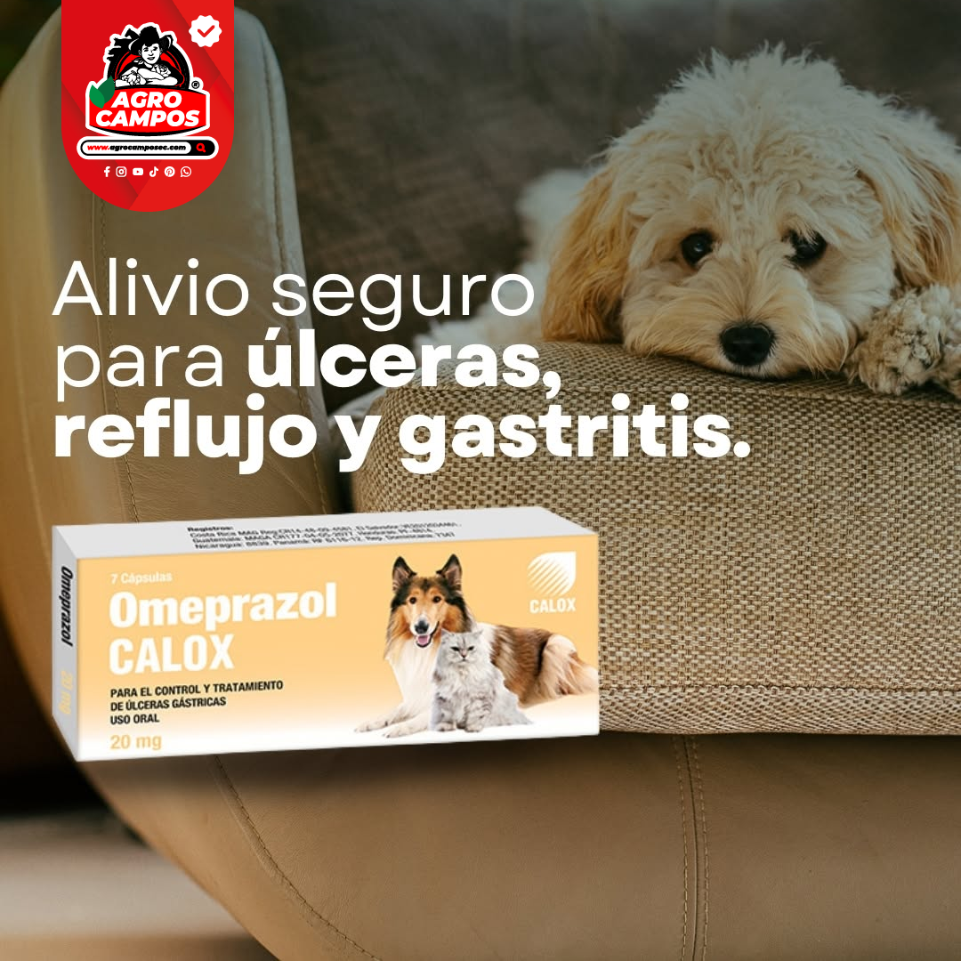 Omeprazol Calox