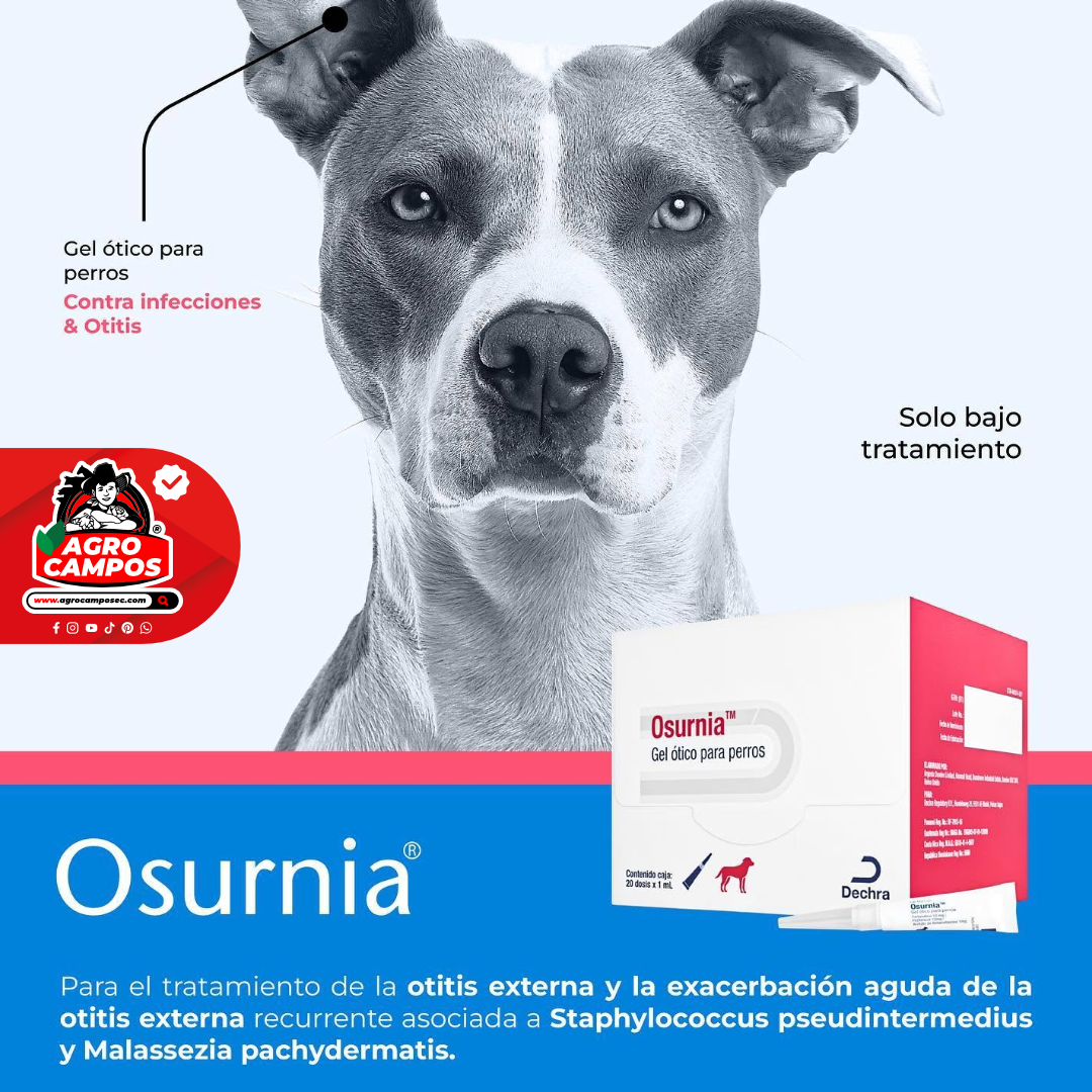 Osurnia