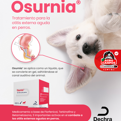 Osurnia
