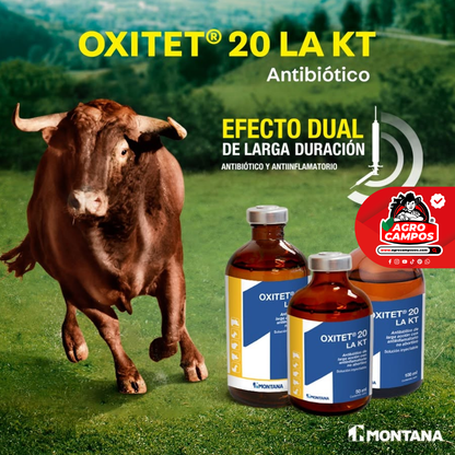Oxitet 20 LA KT