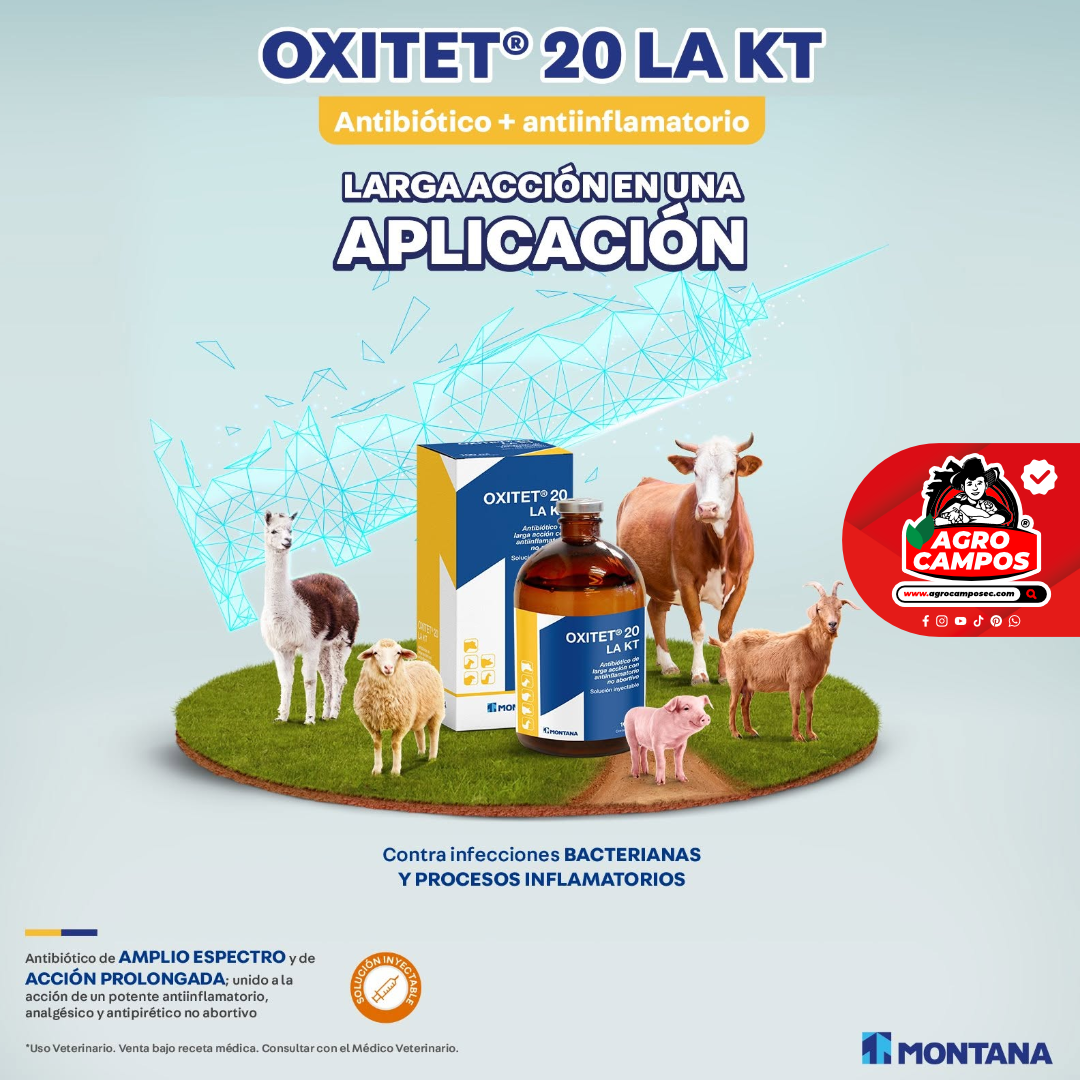 Oxitet 20 LA KT