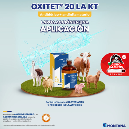 Oxitet 20 LA KT