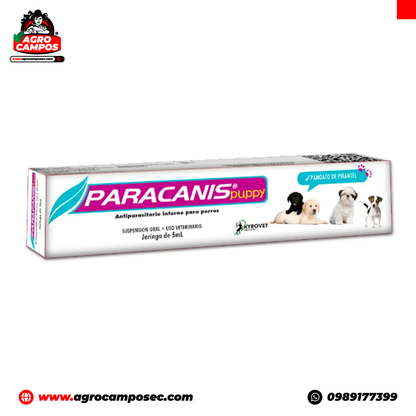 Paracanis Puppy