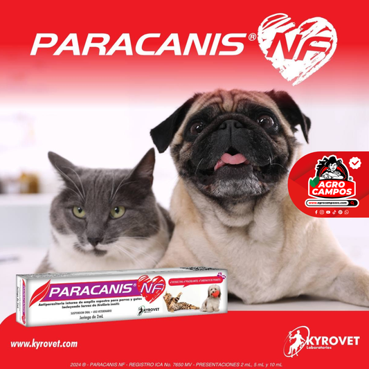 Paracanis NF