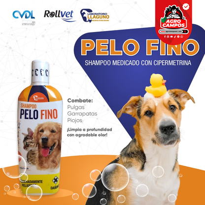 Pelofino Shampoo