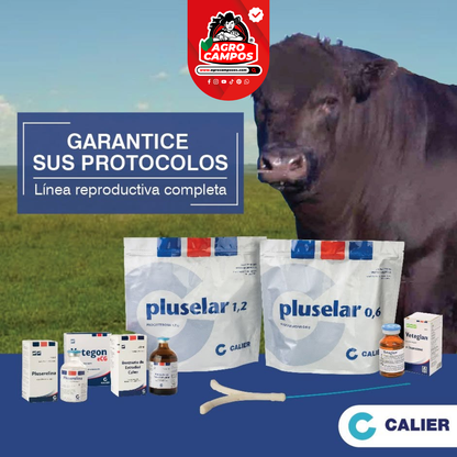 Pluselar 1.2