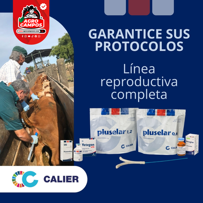 Pluselar 1.2