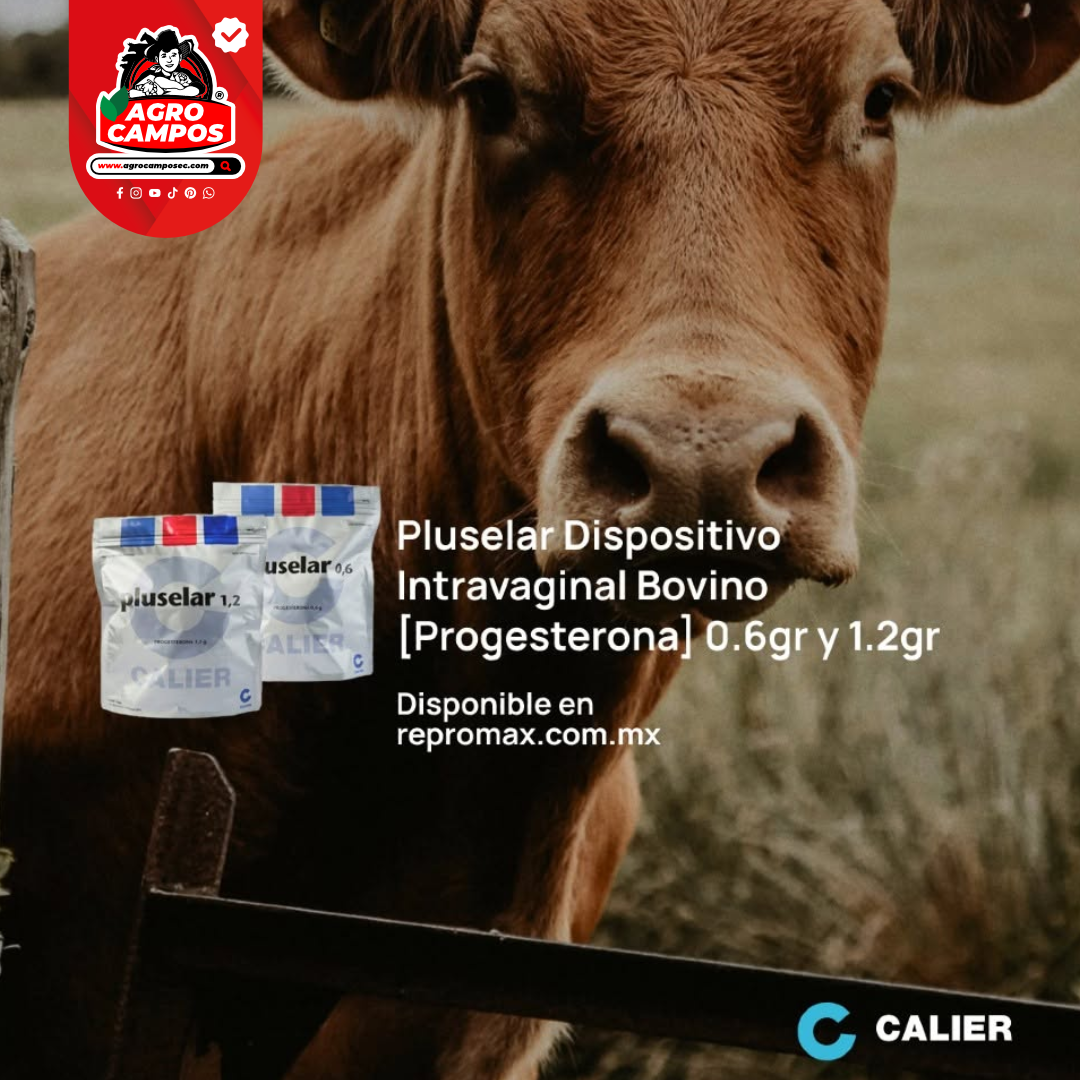 Pluselar 1.2