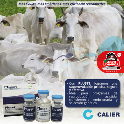 Pluset