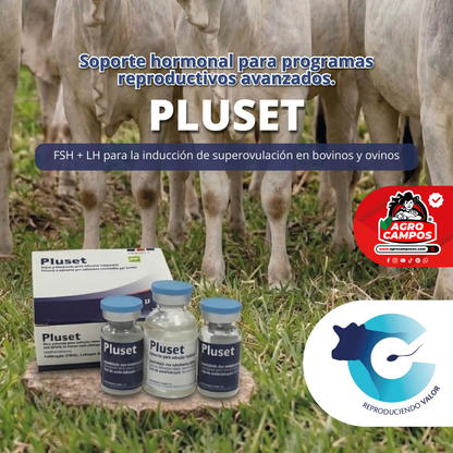 Pluset