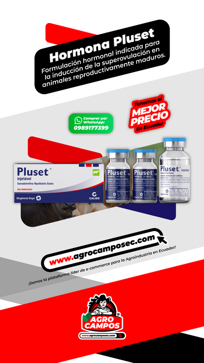 Pluset