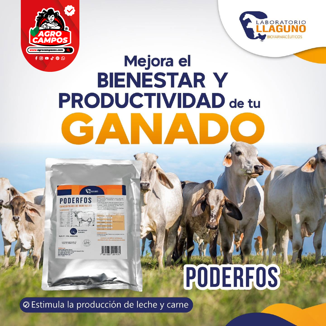 Poderfos