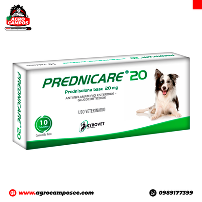 Prednicare 20