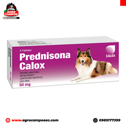 Prednisona Calox